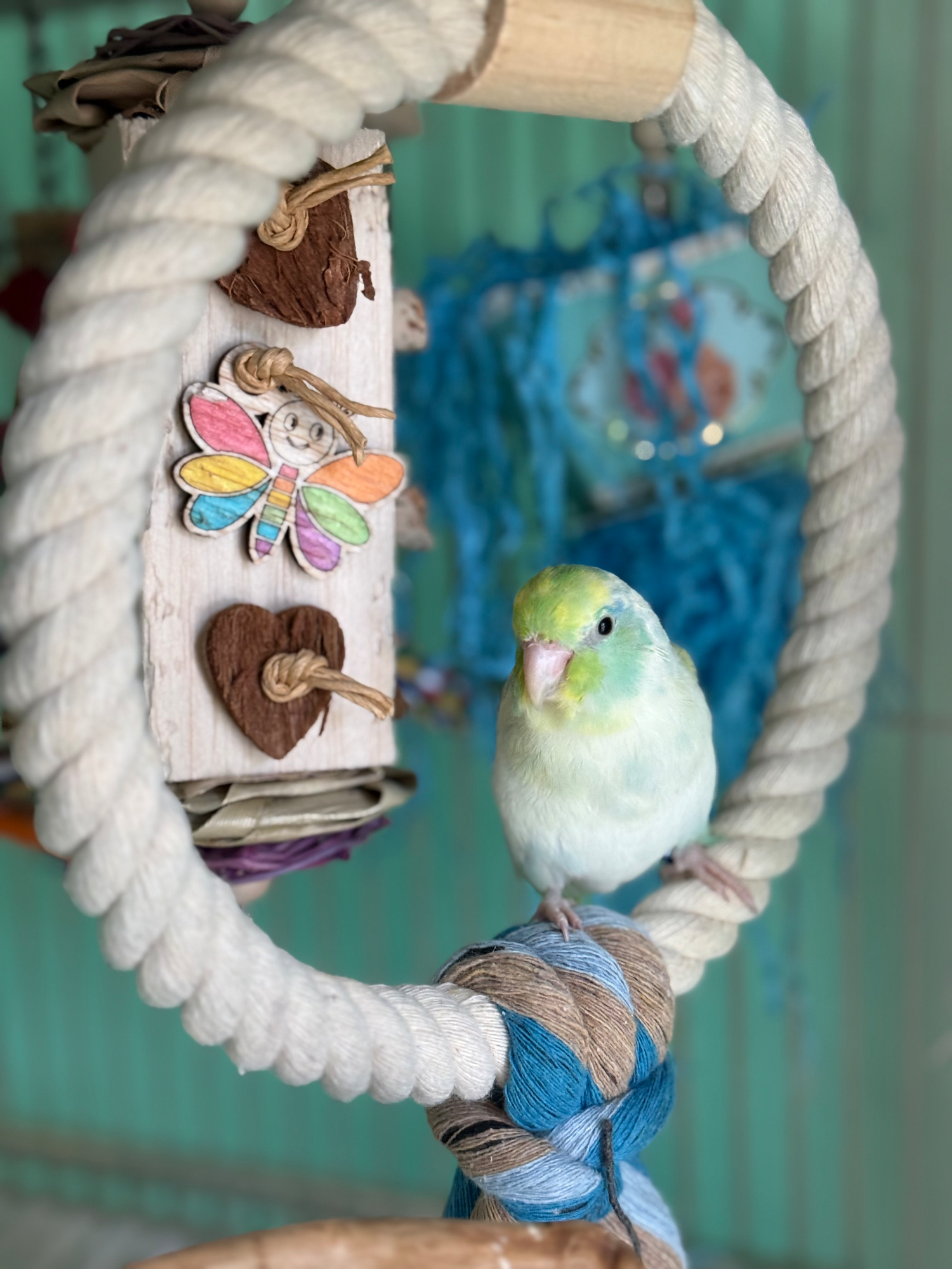 Inside the aviary photo 1